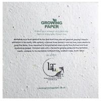 Growing Paper A little Birdie Greeting Card